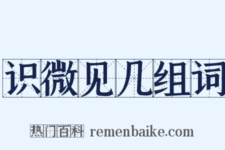 识微见几组词是什么意思的图片